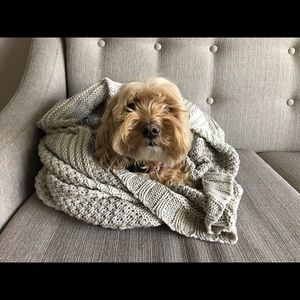 Meet your Posher, Alexa